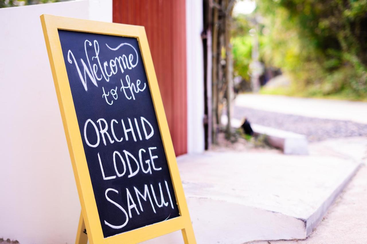 Orchid Lodge Samui - Bed & Breakfast Lamai Beach  Zewnętrze zdjęcie