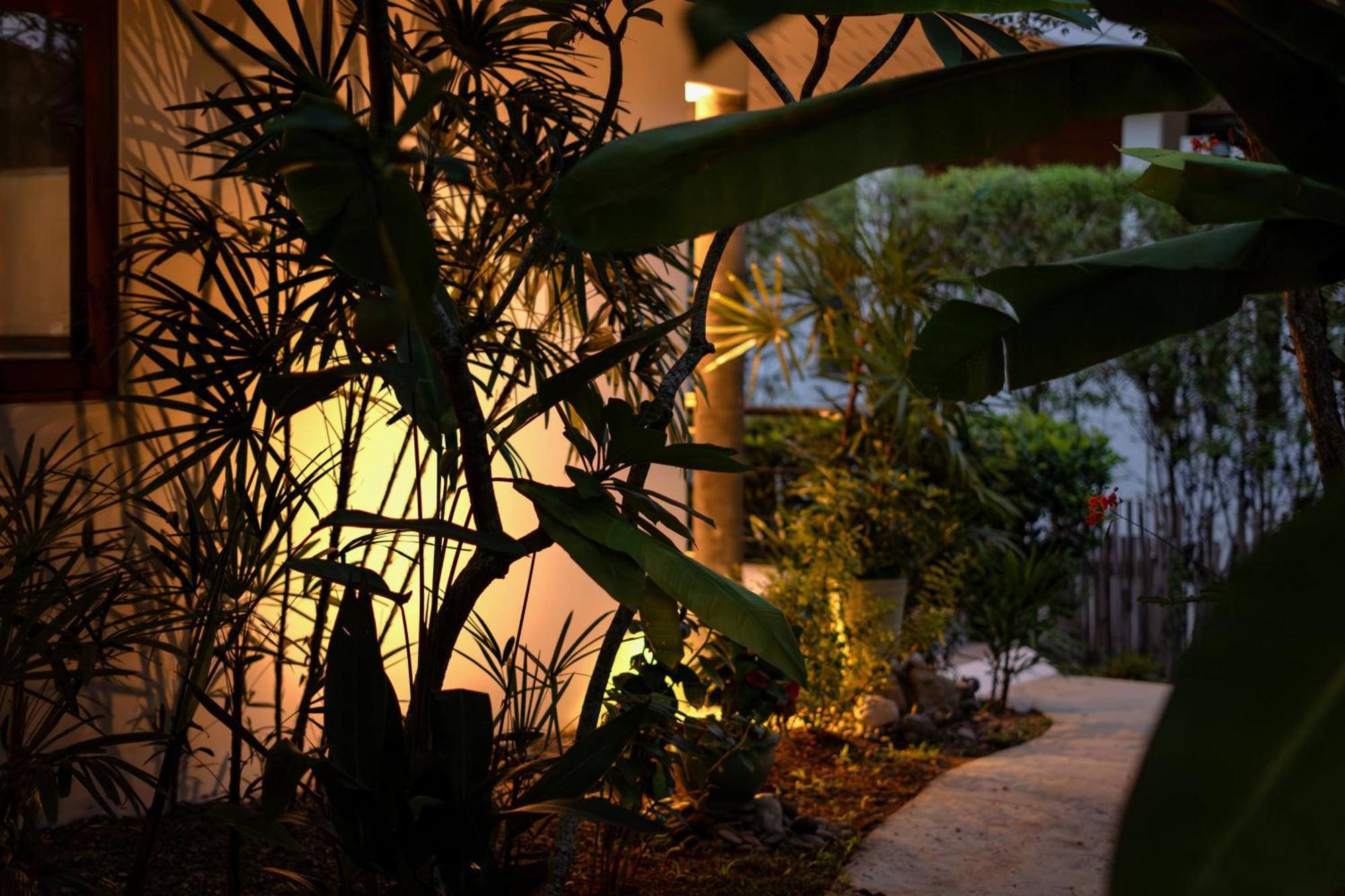 Orchid Lodge Samui - Bed & Breakfast Lamai Beach  Pokój zdjęcie